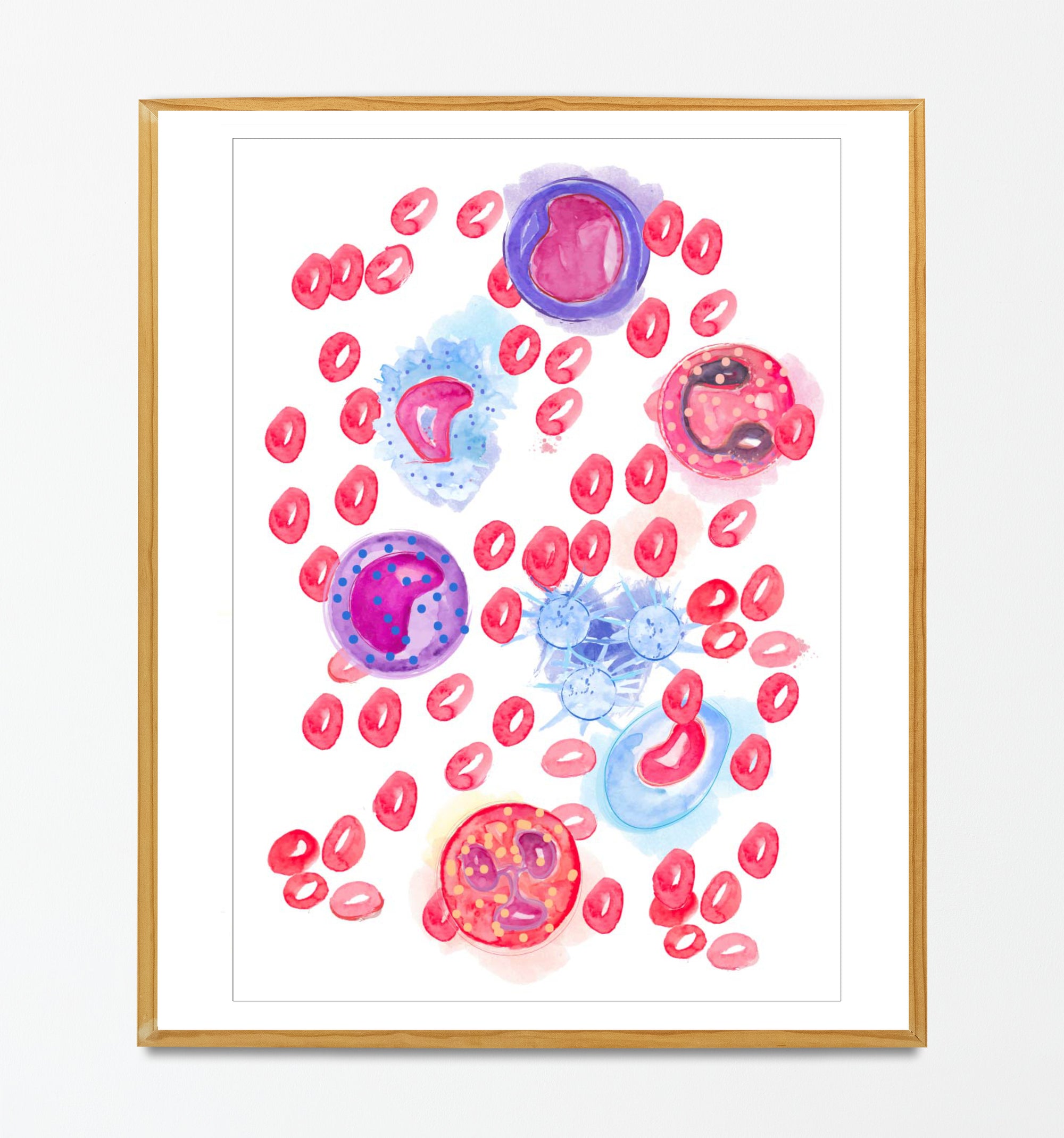 blood cells watercolor art print