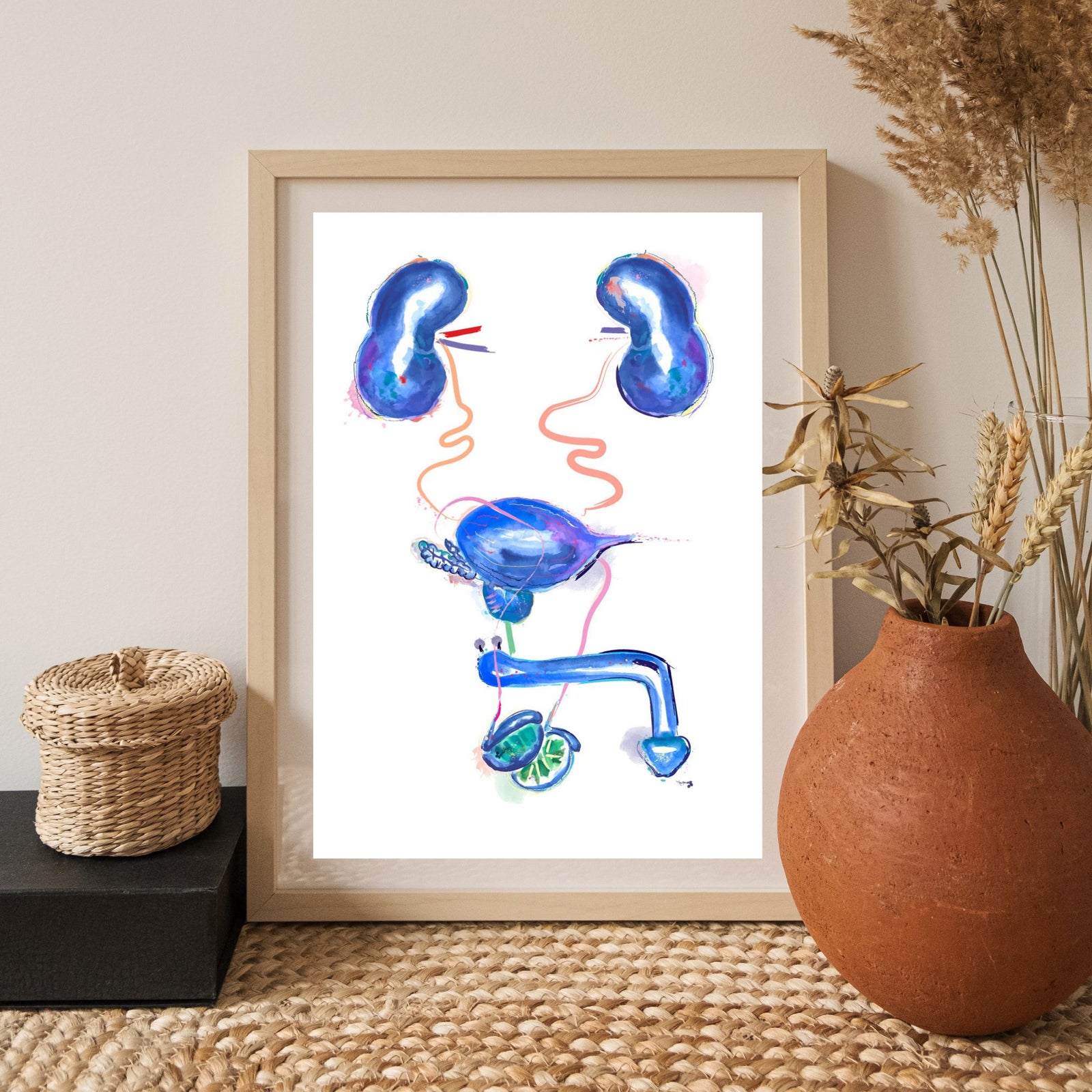 urology kidney prostate penis testicles watercolor artwork