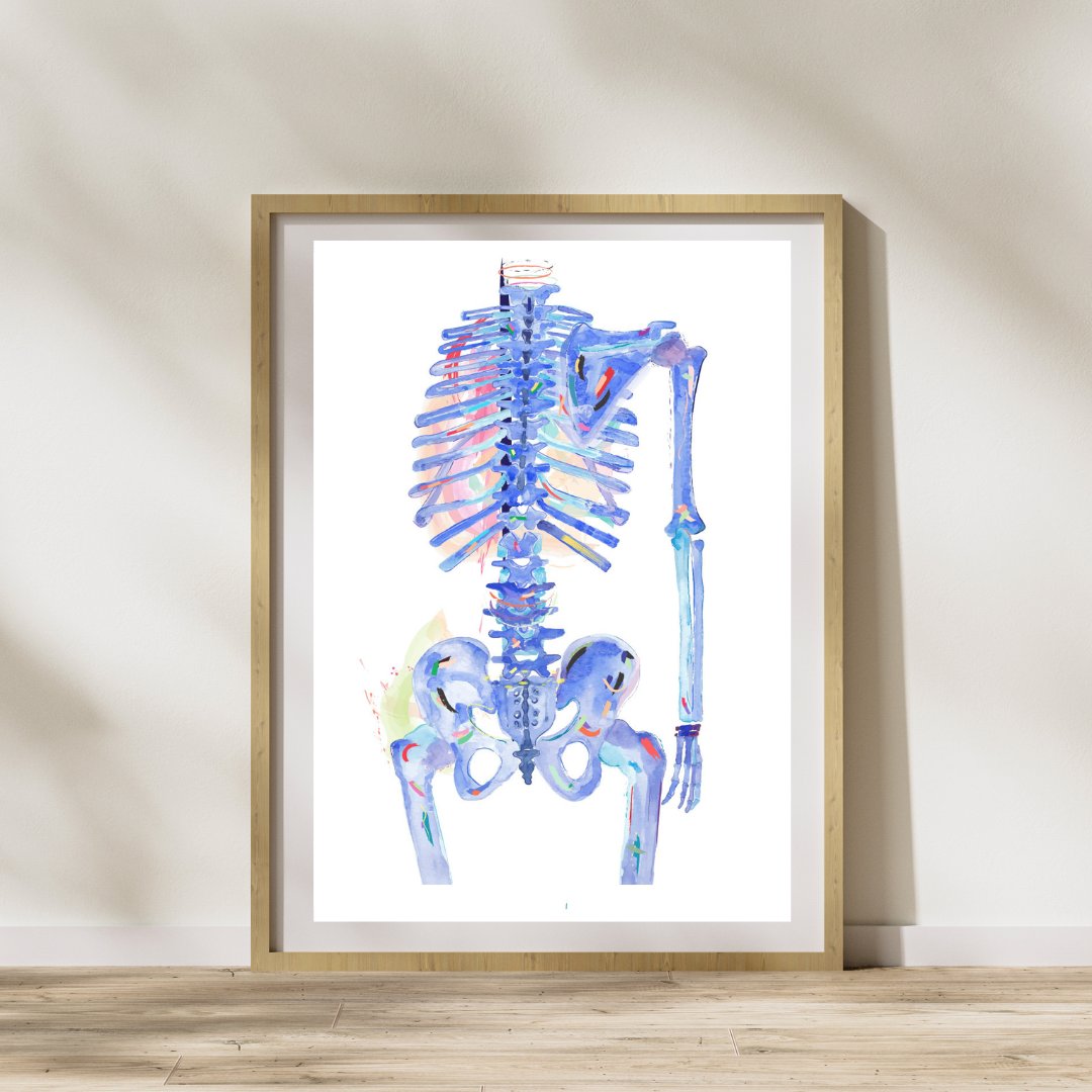 human skeleton watercolor painting