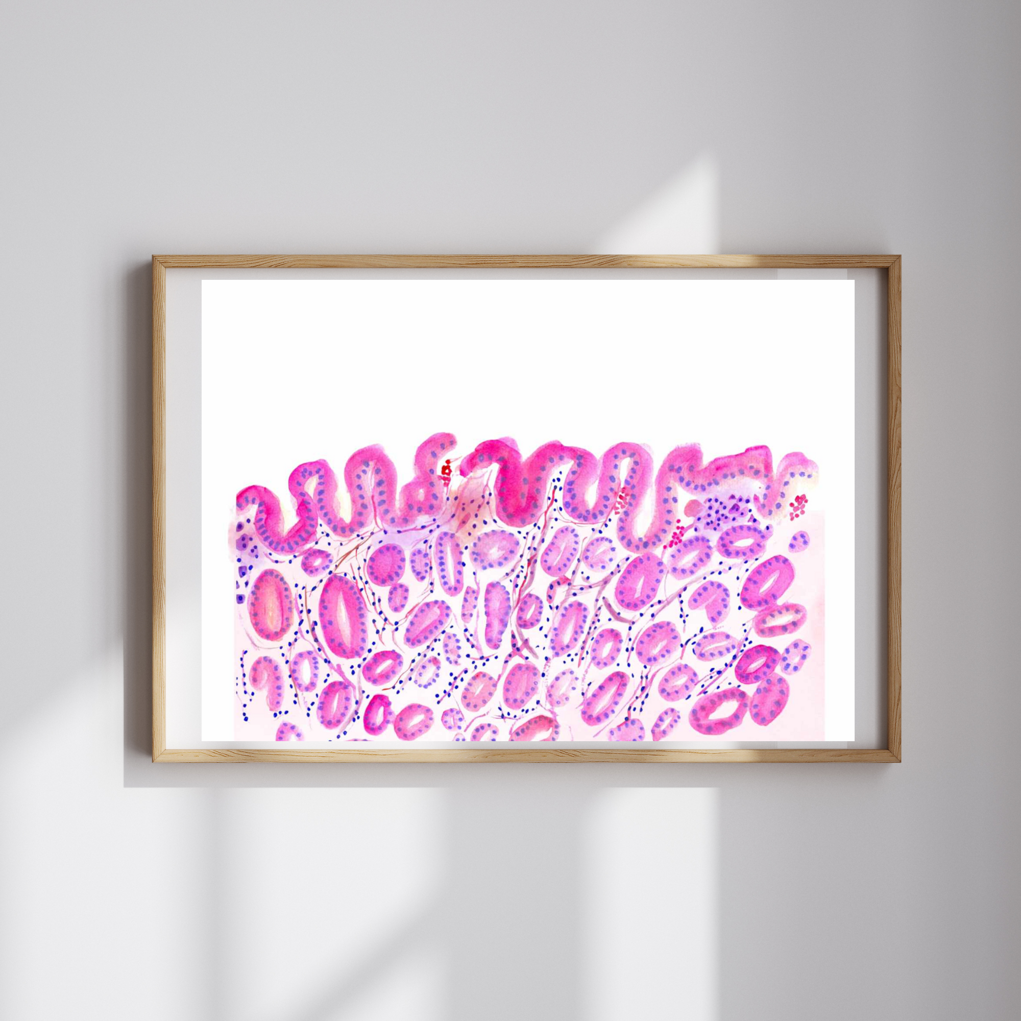 Stomach Histology Art