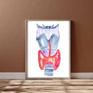 Thyroid Anatomy Art Print