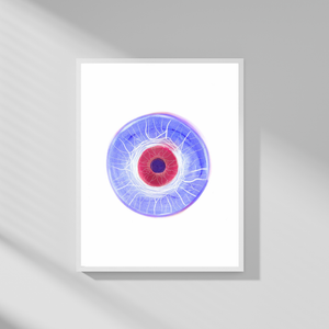 Eye Anatomy Iris Nerves