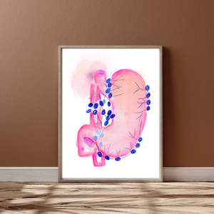 Stomach Lymph Nodes Watercolor Art Print