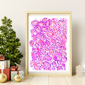 Thyroid Histology Art