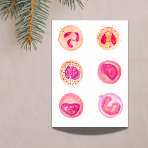 Leukocytes Art Print