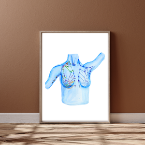 Breast Lymph Nodes Art