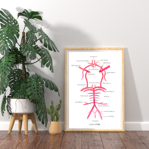 neurology and neuroscience office art
