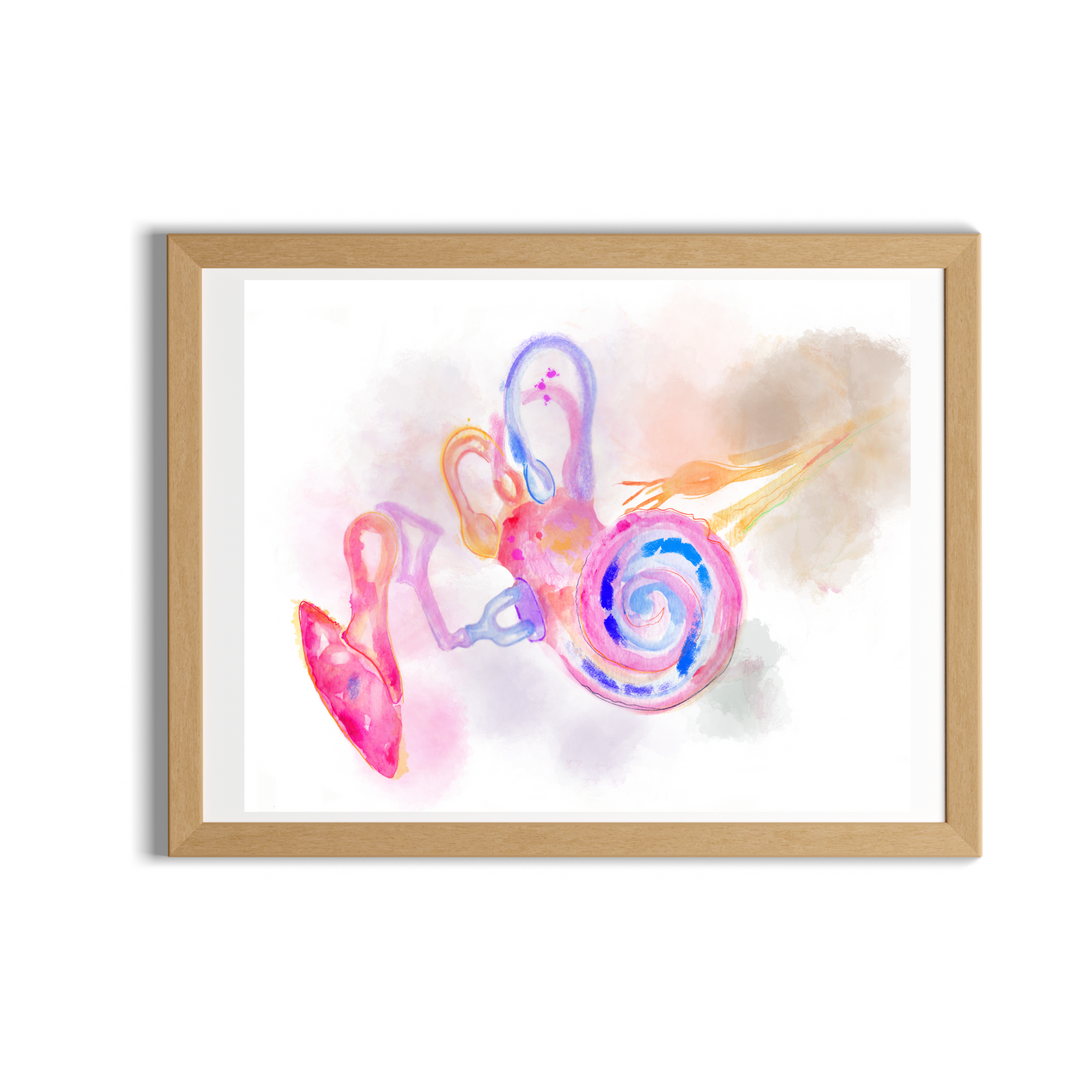 Ear Abstract Anatomy Art for ENT Offices