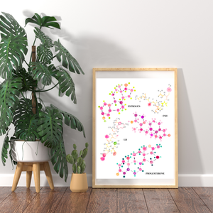 female hormones gynecology wall art