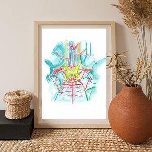 Circle of Willis, Brain Anatomy, Neurology Art, Neurologist Gift, Brain Wall Art, Brain Art Poster, Neuroscience Gift, Neuroscientist Art (Copy)