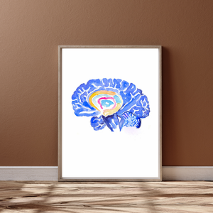 Hippocampus Brain Anatomy Art Print