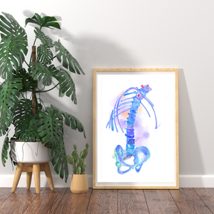 Bechterew´s Disease - Ankylosing Spondylitis Rheumatology Art