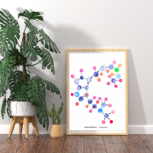 Sumatriptan Molecule Art Print