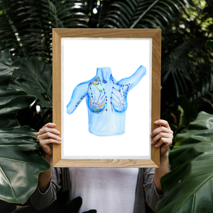 Breast Lymph Nodes Art