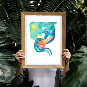 ERCP Gastroenterology Art