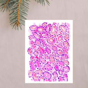 Thyroid Histology Art