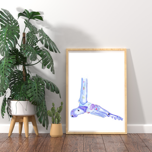 Foot Anatomy Art Print