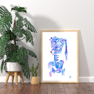 Skeleton Human Anatomy Art Print