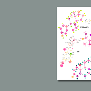 Female Hormones Watercolor Art Print