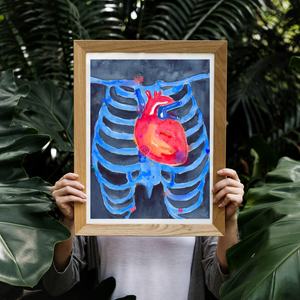 Heart Valve Auscultation Points