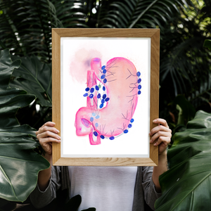 Stomach Lymph Nodes Watercolor Art Print