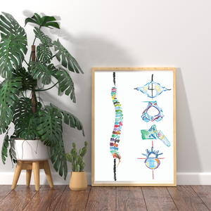 Spine and Vertebrae Abstract Anatomy Art Print