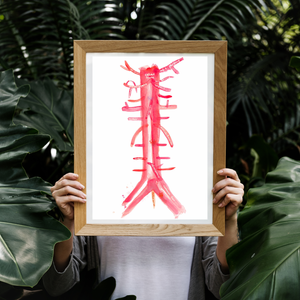Abdominal Aorta and Branches Art Print