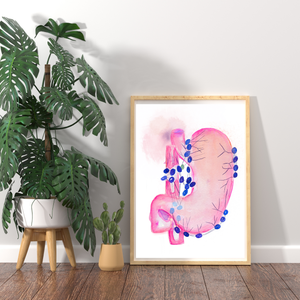 Stomach Lymph Nodes Watercolor Art Print
