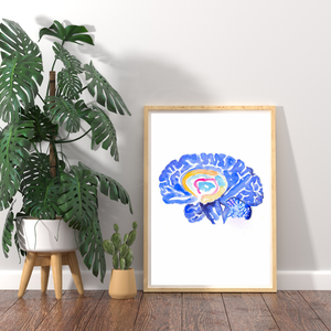Hippocampus Brain Anatomy Art Print