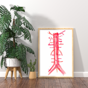 Abdominal Aorta and Branches Art Print