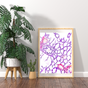 Lung Parenchyma Histology Watercolor Art