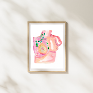 Breast Lymph Nodes Anatomy Art