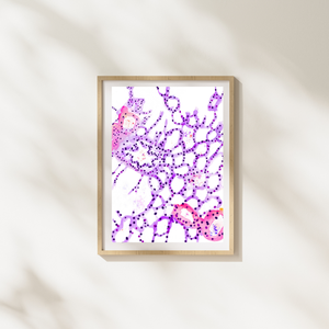 Lung Parenchyma Histology Watercolor Art