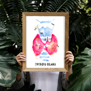 Thyroid Gland Abstract Anatomy Art Print