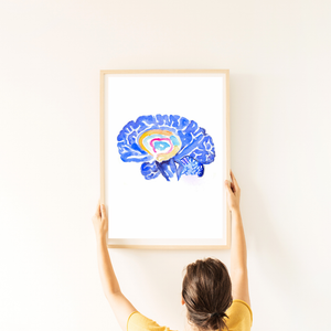 Hippocampus Brain Anatomy Art Print