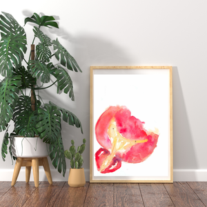 Bladder and Prostate Cross-section Watercolor Art Print