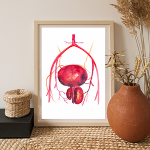 Prostatic Artery Embolization Art