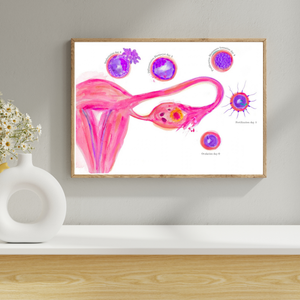 Uterus: Ovulation through Implantation Obstetrics and Gynecology Art Print
