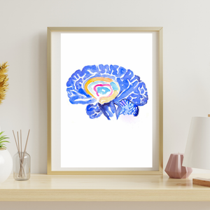 Hippocampus Brain Anatomy Art Print