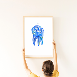 Tooth Anatomy Art Print