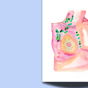 Breast Lymph Nodes Anatomy Art