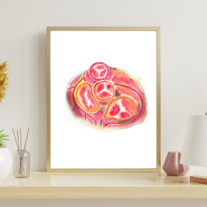 Heart Valve Anatomy Art Print