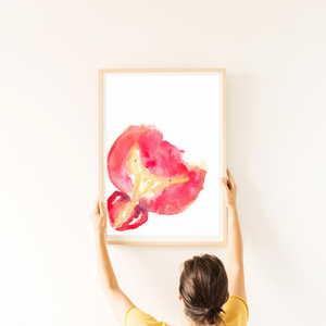 Bladder and Prostate Cross-section Watercolor Art Print