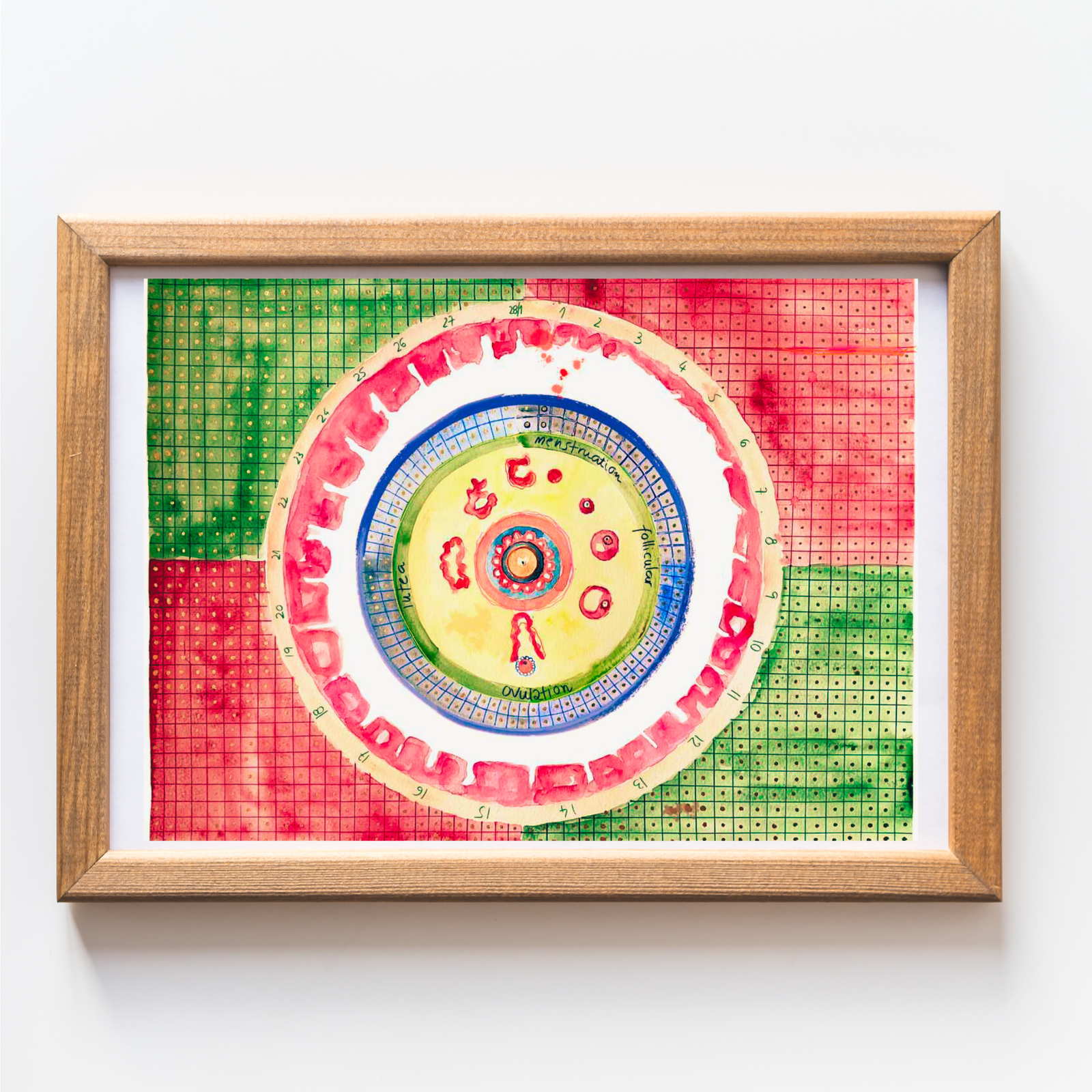 Menstrual Cycle Abstract Art - Gynecology Office Wall Decor