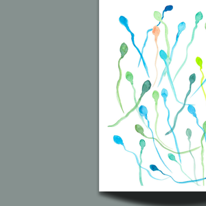 Sperm Male Fertility Watercolor Art Print
