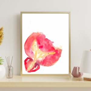 Bladder and Prostate Cross-section Watercolor Art Print