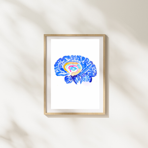 Hippocampus Brain Anatomy Art Print