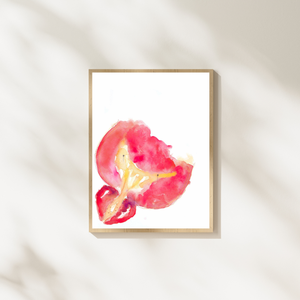 Bladder and Prostate Cross-section Watercolor Art Print
