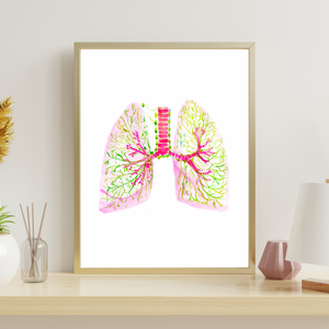 Lung and Pleural Lymph Node Anatomy Art Print