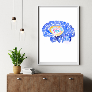 Hippocampus Brain Anatomy Art Print